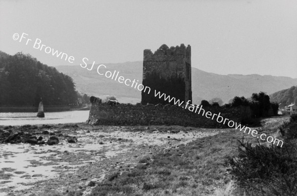 ON THE WAY TO CARLINGFORD LOUGH : NARROW WATER CASTLE FROM EAST